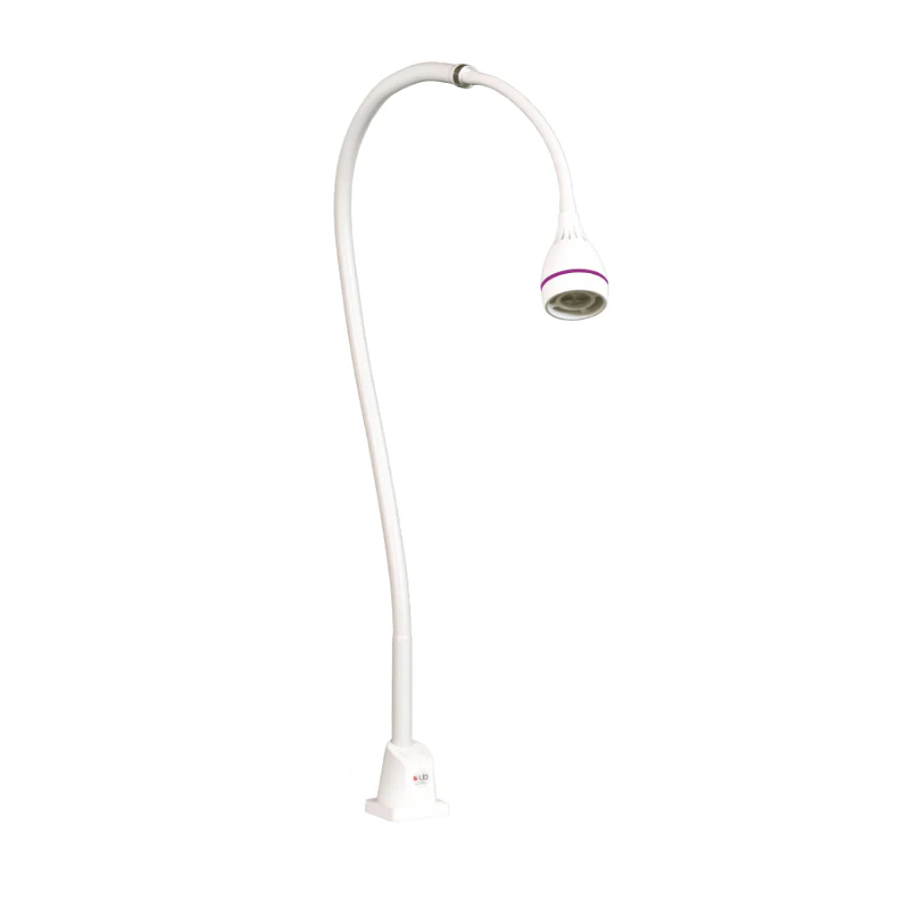 Lampe LED Carla Focus avec interrupteur ou variateur - Sans pied - Image 3