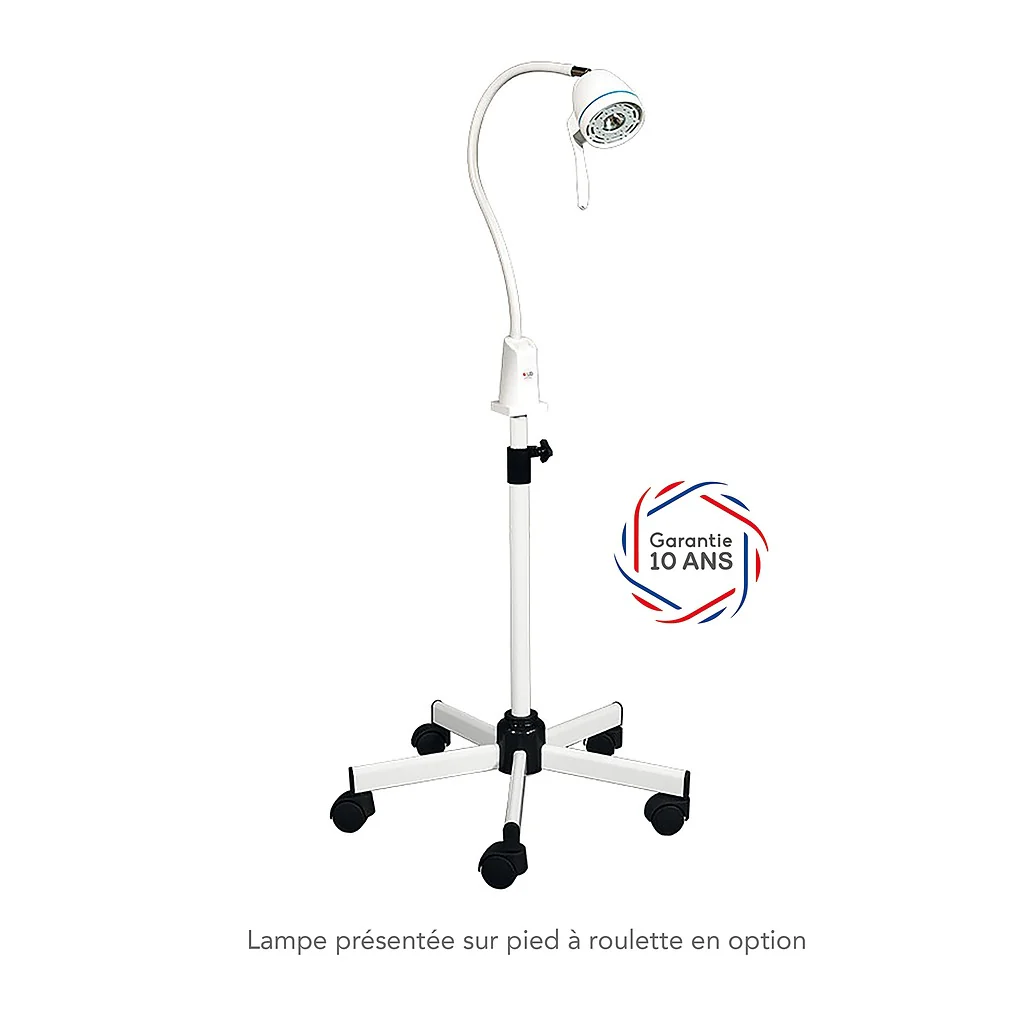 Lampe halogène LID Diana 50W sans pied - Avec interrupteur - Image 4